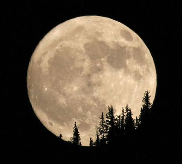 Manote_Mentor's tweet photo. Mission to The #Moon 
ดีกับใจมีเป้าหมายชัด
แต่ …
โฟกัสกับ Mission to This Afternoon ลงมือทำซะก่อนดีไหม
เสร็จแล้วก็ใช้ใจสัมผัสสักนิด วันนี้เราทำอะไรได้ดีกว่าเมื่อวาน วันนี้เราได้รู้อะไรเพิ่ม และ ถ้าให้ทำอีกครั้ง  เราจะทำให้ดีกว่าเดิมได้อย่างไร
#พี่เลี้ยงนักบริหาร
#TimeValue https://t.co/0O2Uqx6Ykp