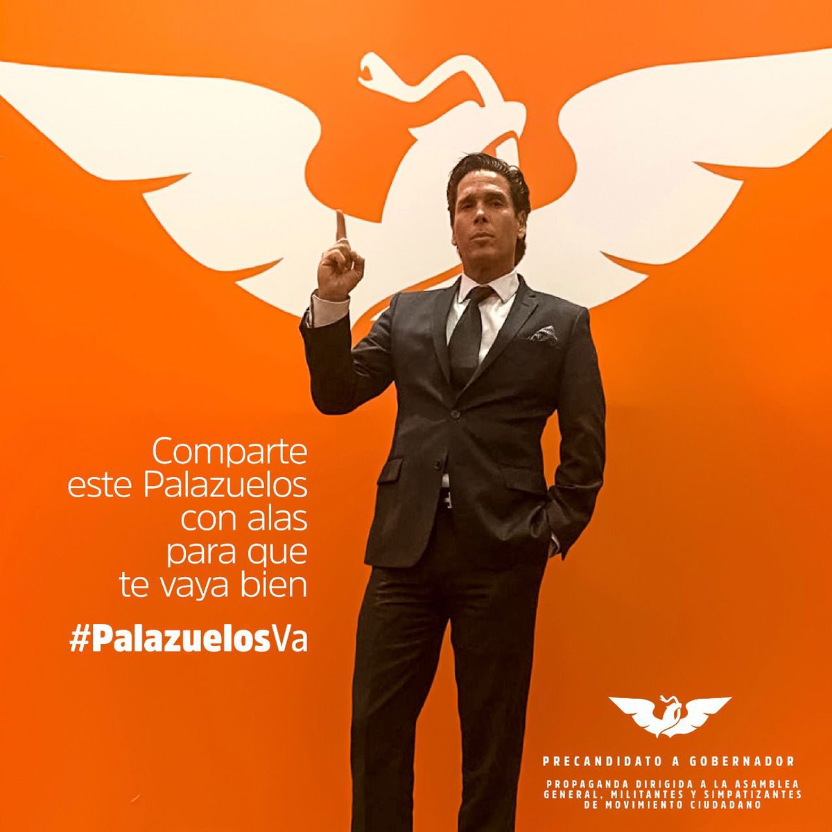 Comparte este Palazuelos de la suerte para que tengas éxito y a Quintana Roo le vaya mejor. #PalazuelosVa

Propaganda dirigida a la asamblea general, militantes y simpatizantes de Movimiento Ciudadano.