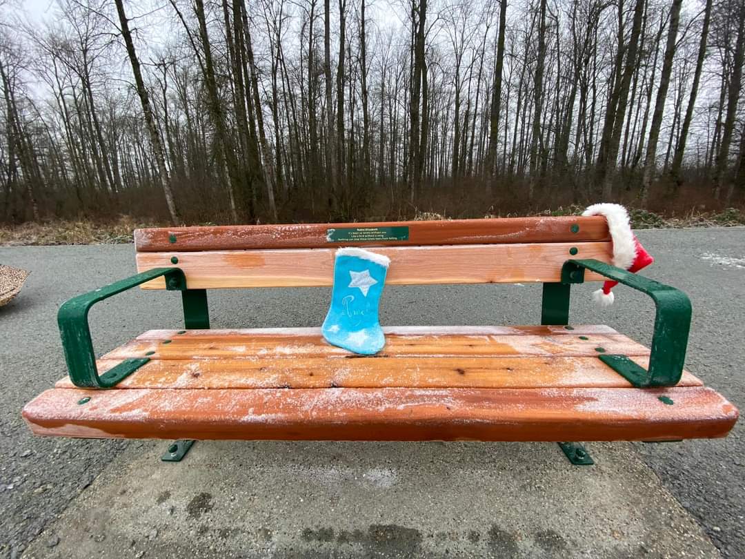 Robin's Bench ❤