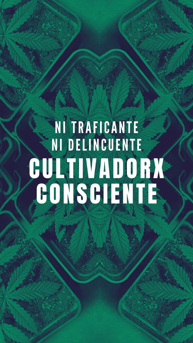 AnaMariaGazmuri's tweet photo. Mañana a las 9:30 nos recibirán en Comisión de Derechos Fundamentales de la @convencioncl para exponer sobre la Iniciativa Popular Cannabis a la Constitución Ahora, propuesta del movimiento cannábico chileno en pleno, la que ha tenido un inmenso respaldo ciudadano. Seguimos!!! 🧡 https://t.co/eMZ5LBiByk