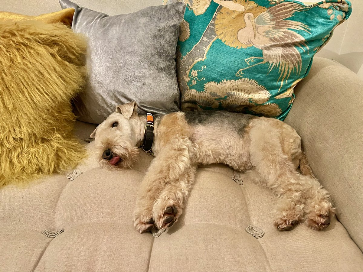 Bertie Lakeland (@bertielakeland) on Twitter photo So I’ll say good night and thank you once again everyone …… my old account <a href="/bertie_lakeland/">Bertie Lakeland</a> has been unsuspended but I’ll keep both accounts going just in case of more problems 💋💋 So I’ll say good night and thank you once again everyone …… my old account <a href="/bertie_lakeland/">Bertie Lakeland</a> has been unsuspended but I’ll keep both accounts going just in case of more problems 💋💋