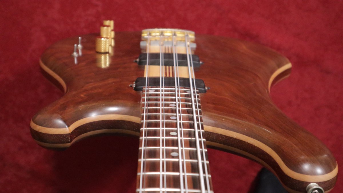 miguelfalcao's tweet photo. New video about my new Ranney 8-string bass coming soon 💚🐟 #chrissquire #8stringbass https://t.co/a8z1hnrmmc
