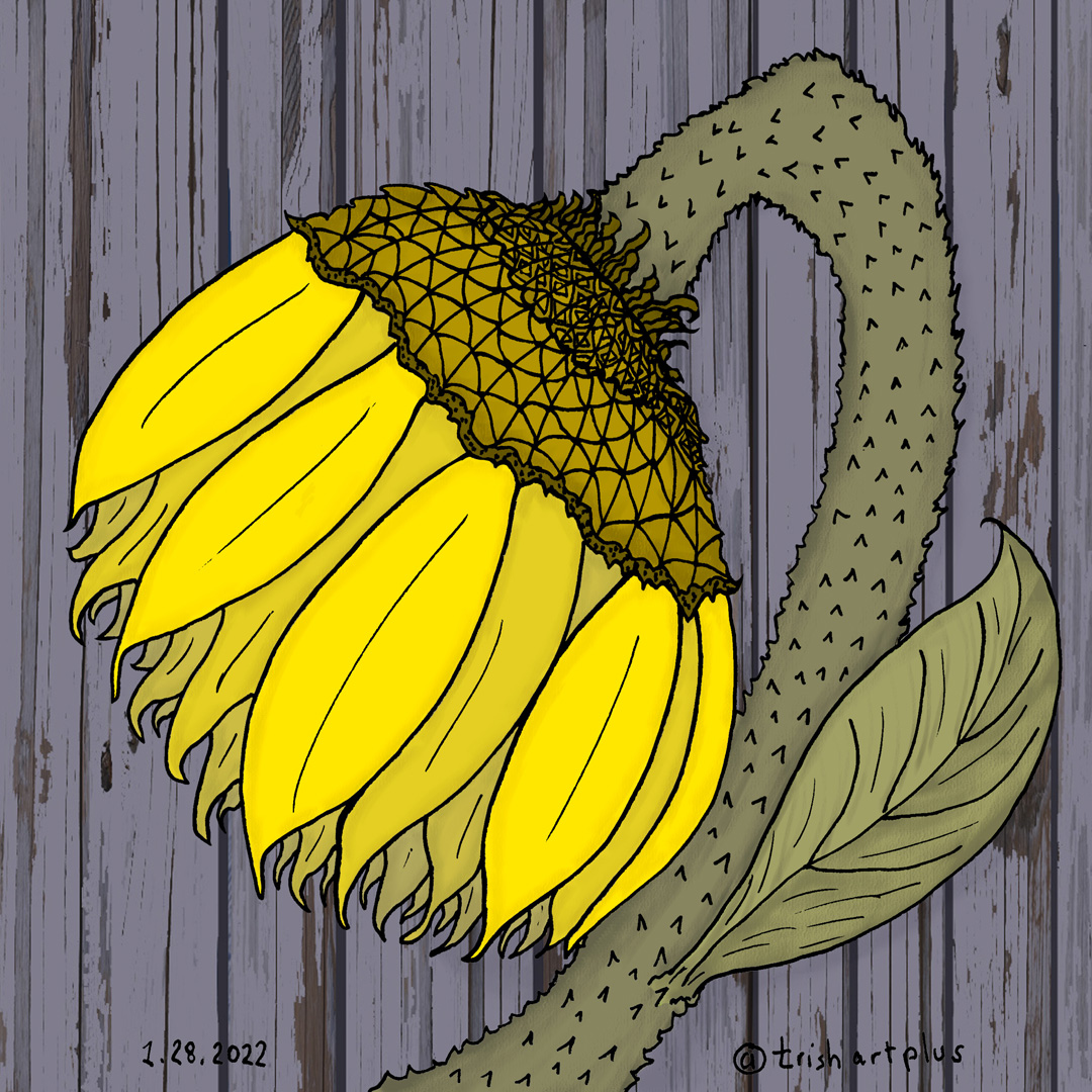 trishartplus's tweet photo. #colour_collective #ButterAndLilacGray #Sunflower https://t.co/5tASENL1ok