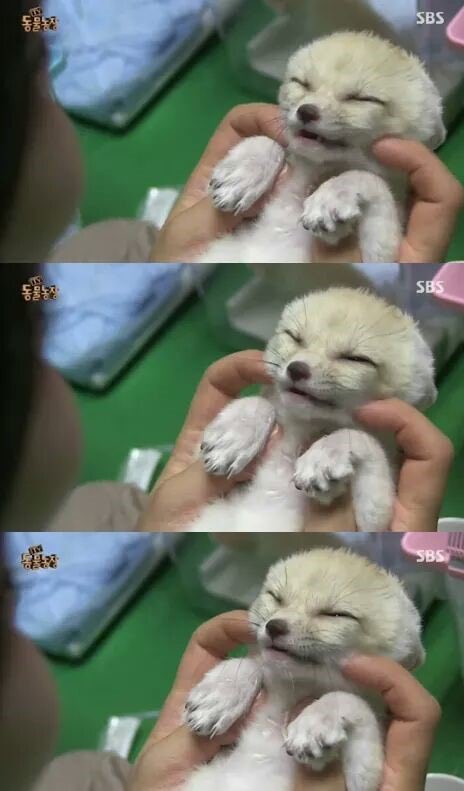 _noon_57's tweet photo. @geonboki 진짠데ㅜㅜ https://t.co/ThWkb6gqiQ