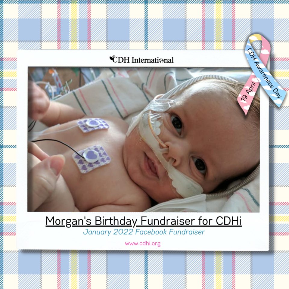 cdhintl's tweet photo. Morgan's Birthday Fundraiser in memory of Isaiah for CDHi read more at https://t.co/3TPgYKUYRd

Donate at https://t.co/5HCD2NCs0x

#cdhawareness #cdhi #cdhintl #cdhinternational #cdhresearch #cdhsupport #patientadvocacy #cdhcharity #cdhsupportgroup #cdhsupportcharity #cdhhelp https://t.co/UBLbfuFRRg