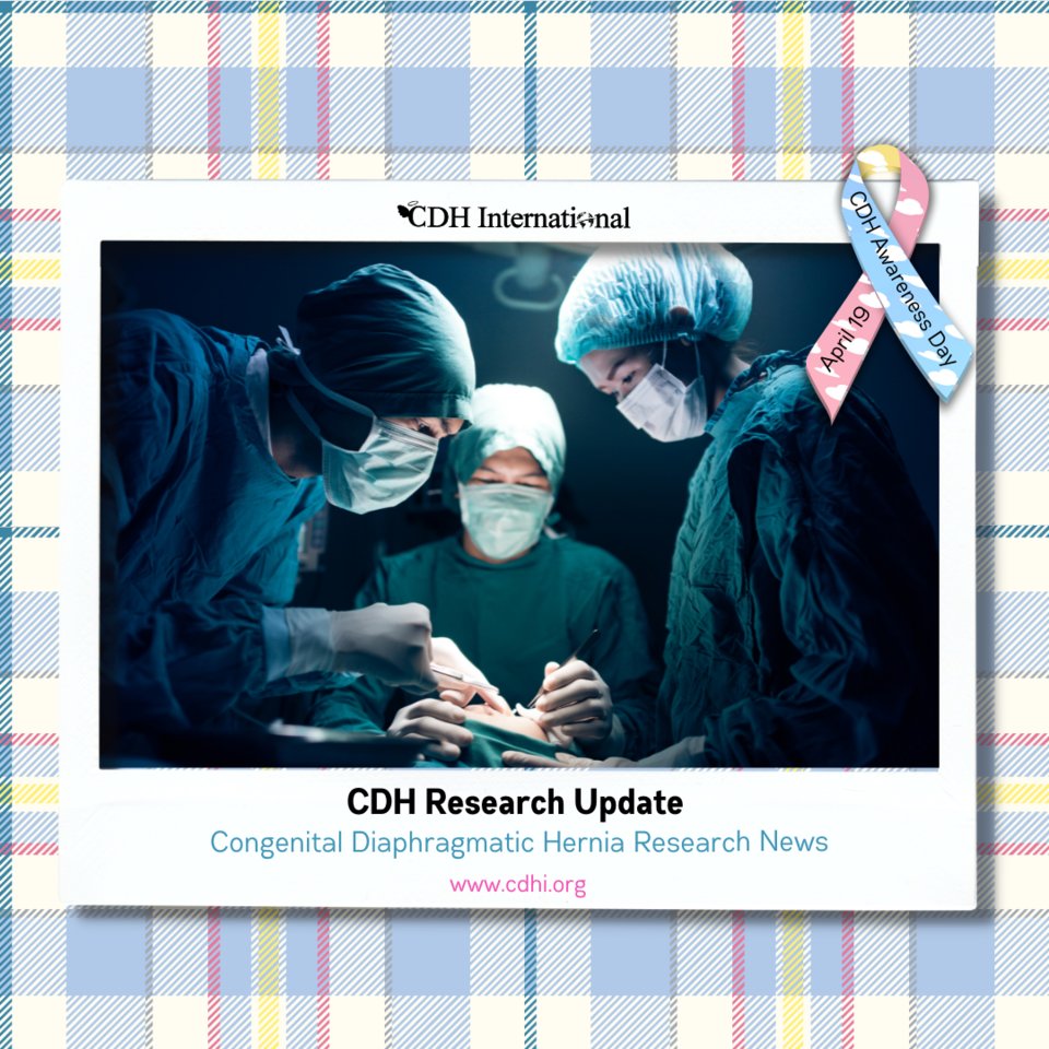 How should fetal surgery for congenital diaphragmatic hernia be implemented in the post-TOTAL trial era: A discussion

cdhi.org/research-how-s…

#cdh #cdhi #congenitaldiaphragmatichernia #cdhresearch #cdhiresearch #cdhiukresearch #cdhiuk