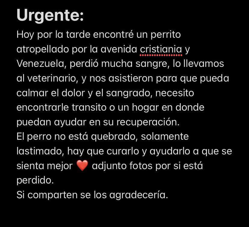 florchas_17's tweet photo. Necesito que compartan por favor! Necesita transito, un hogar o encontrar a sus dueños https://t.co/t7RTXibHhE