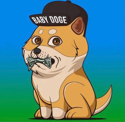 PeaceChuong's tweet photo. @WatcherGuru #BabyDogeCoin 
#BabyDoge 
#BabyDogeArmy https://t.co/PzvsiOh4uC