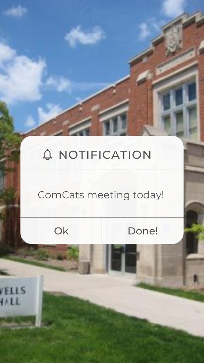 NWComCats's tweet photo. https://t.co/KXnpNBcmJn
