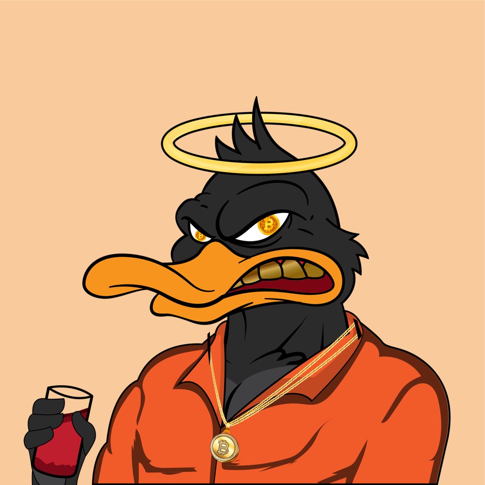 DomesMeta's tweet photo. @PaynoEth @doodles #DefiDuck display picture would look better... DM us and we can make that happen. https://t.co/yUBEKw0jY3