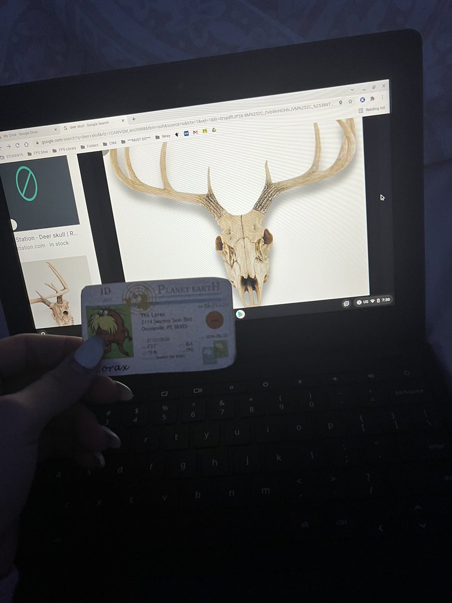 APESKaitlynK's tweet photo. this is what would happen if populations reach over the carrying capacity. there would not be a sufficient amount of resources to fit everyone’s needs, which will result in death and starvation #apespop @franklinlorax https://t.co/eeBeknO8Yv