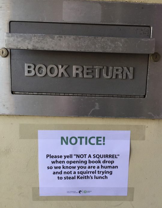AustenOnek's tweet image. #NOTASQUIRREL 
#LibrariesRock