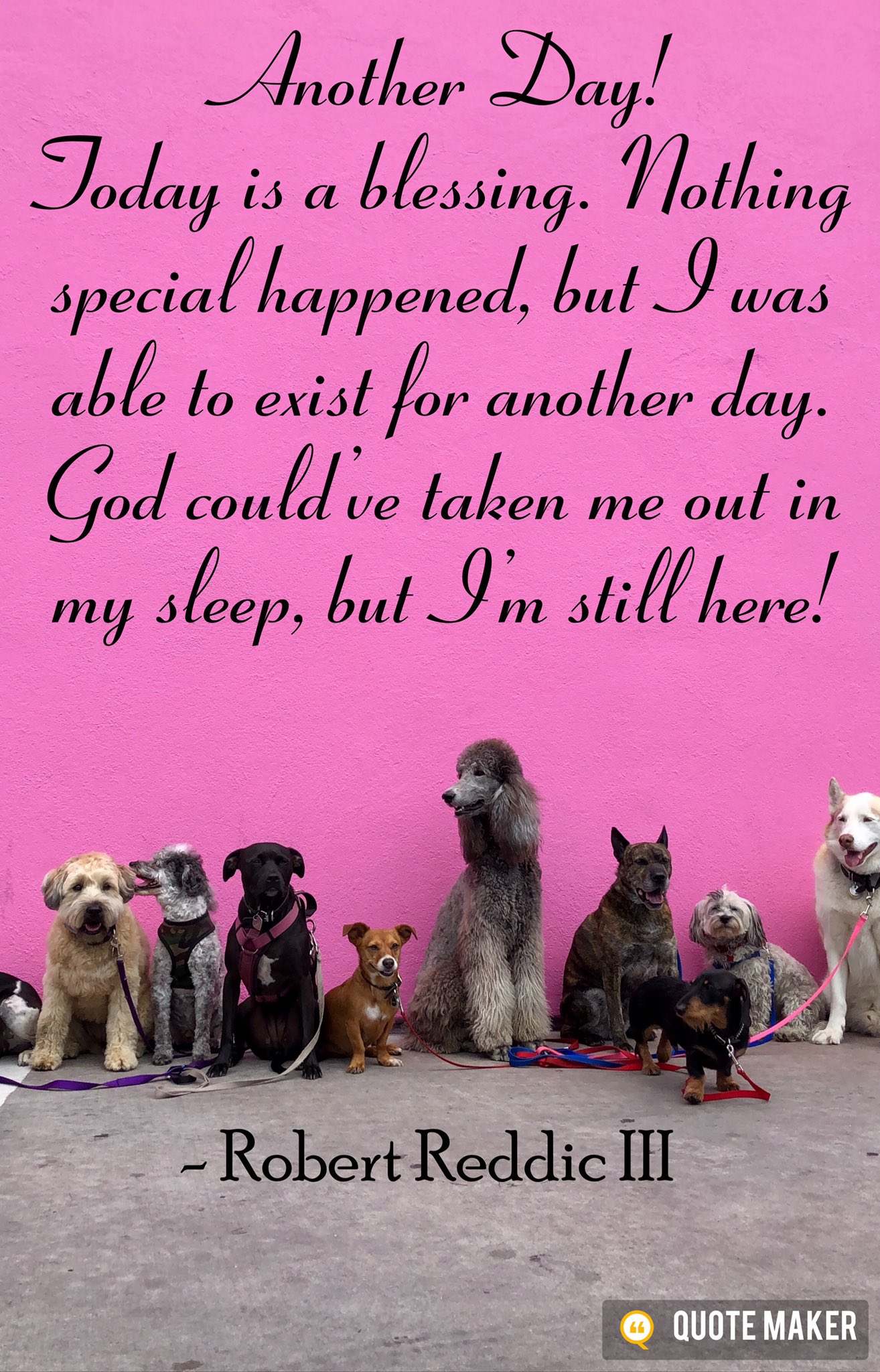 Author Robert Reddic Hallmark Card Robert Edition 1 25 22 Another Day Today Is A Blessing Nothing Special Happened But I Was Able To Exist For Another Day God Could Ve Taken