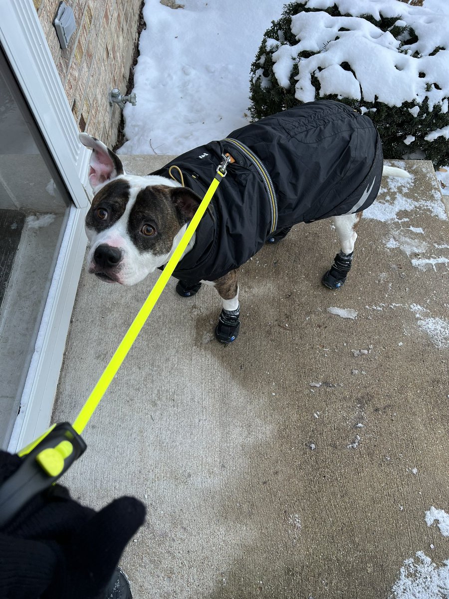 Batavia NHS tweet media