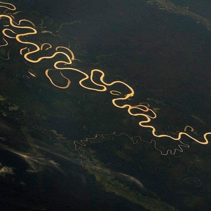 ineed__spacee's tweet photo. Stunning view of the Amazon from the @Space_Station 😲 https://t.co/lsCdV2vXuh