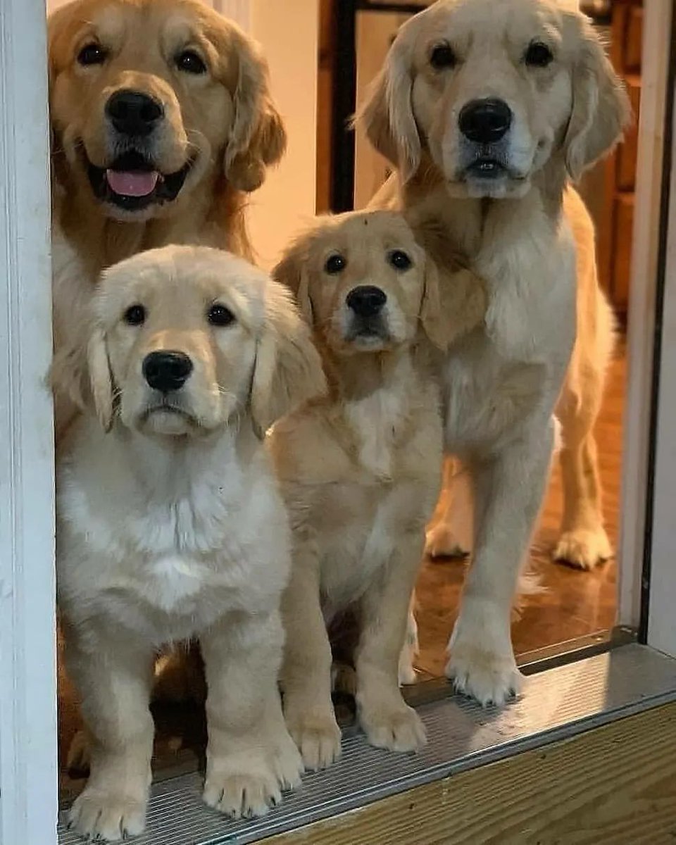 Una familia feliz....👉❤