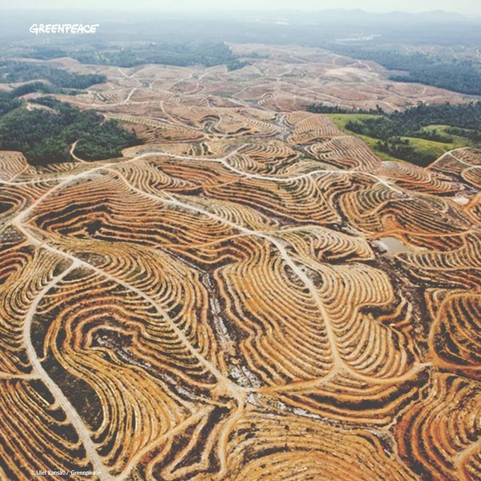 inikah Kalimantan sekarang?sungguh miris, padahal dulunya paru2 dunia, poho2 ditebangin, tanah di keruk jadi tambang batubara, ga ada reboisasi.... jangan salahkan alam apabila banjir berminnggu-mingggu, kalo sudah begini sp yg tanggung jawab heyyyyyyyyyyyyyyyyyy?