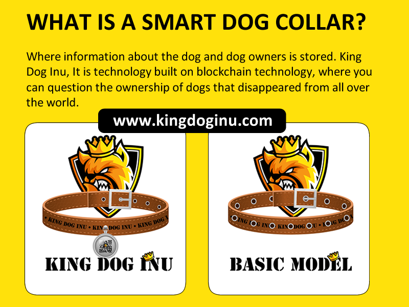 KingDogInu's tweet photo. What is a Smart Dog Collar
https://t.co/mM2Btpo7yd https://t.co/zA40BOXCRw
