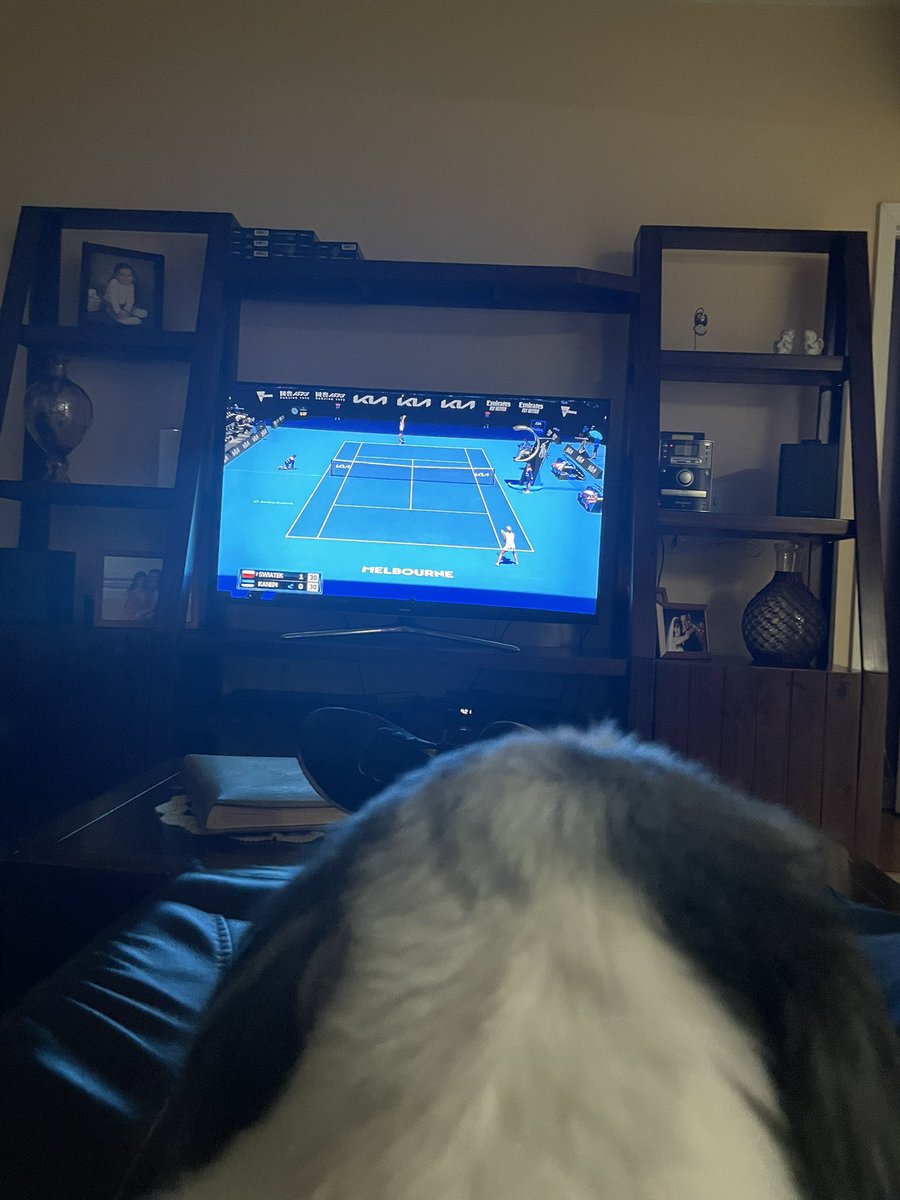 JCMLV's tweet photo. We both are keeping a close eye on Iga’s match. 🐶 #IgaFans #AusOpen https://t.co/4blUh3zwYk