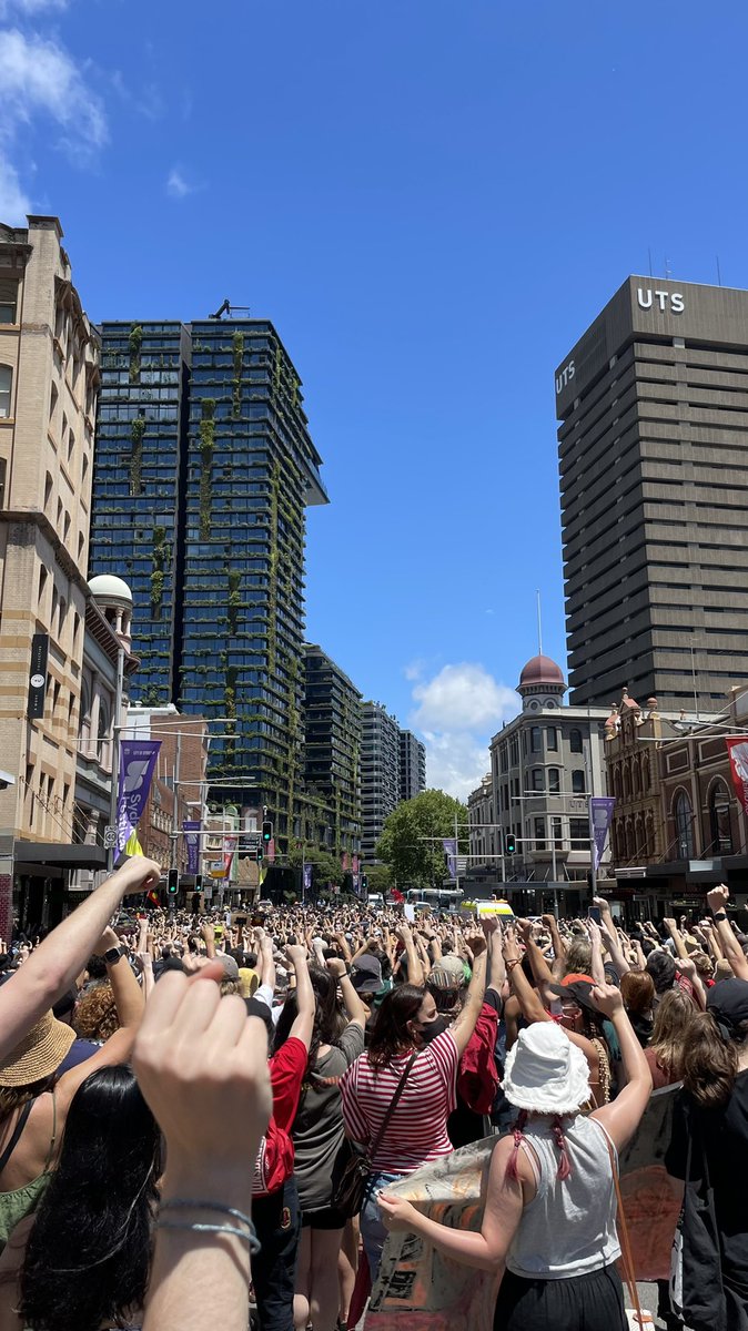 ameliagilbert's tweet photo. Gadigal scenes  #AlwaysWasAlwaysWillBe https://t.co/Vs6AQwfo9E