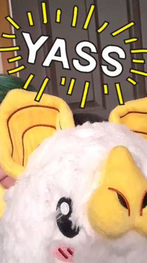 #otdtwt #promotwt hiiii im back (used to be <a href="/himhertrans/">she/her he/him trans otd! (archive)</a>, got burnout with old gimmick) can i get a promo and maybe get some of my old mutuals back :]

 (pic is one of my own favorite stuffed animals, a honduran white bat plush named yam. he uses he/she prns !!)