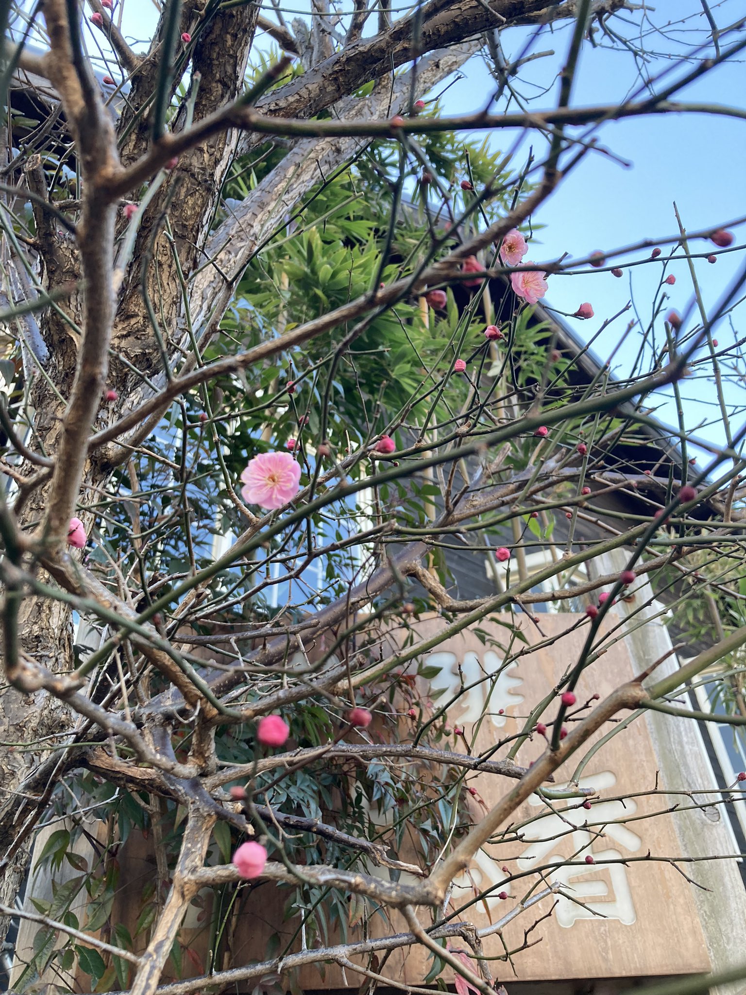 京王永山 Twitter Search Twitter