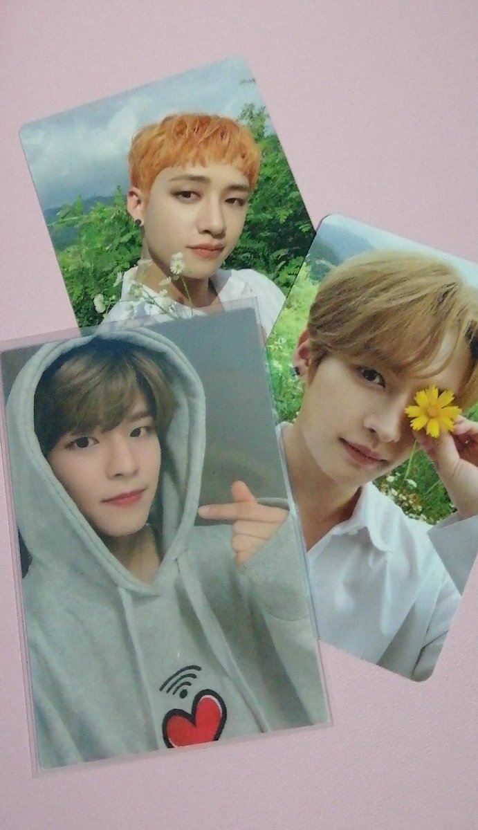 ksmseungs's tweet photo. Thank u sm @SurfinShopPH! seungmin came home safely,, I was rlly surprised sa freebies ><
#SSPFeedback <3 https://t.co/Xi27rxNxeB