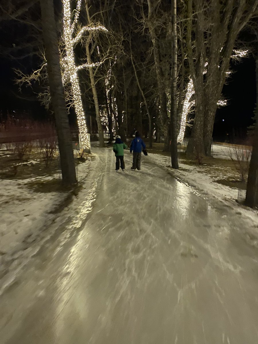 ShanChomistek's tweet photo. A magical evening at Bowness Park. Thanks @cityofcalgary #yycwinter https://t.co/kyRv9MutZP