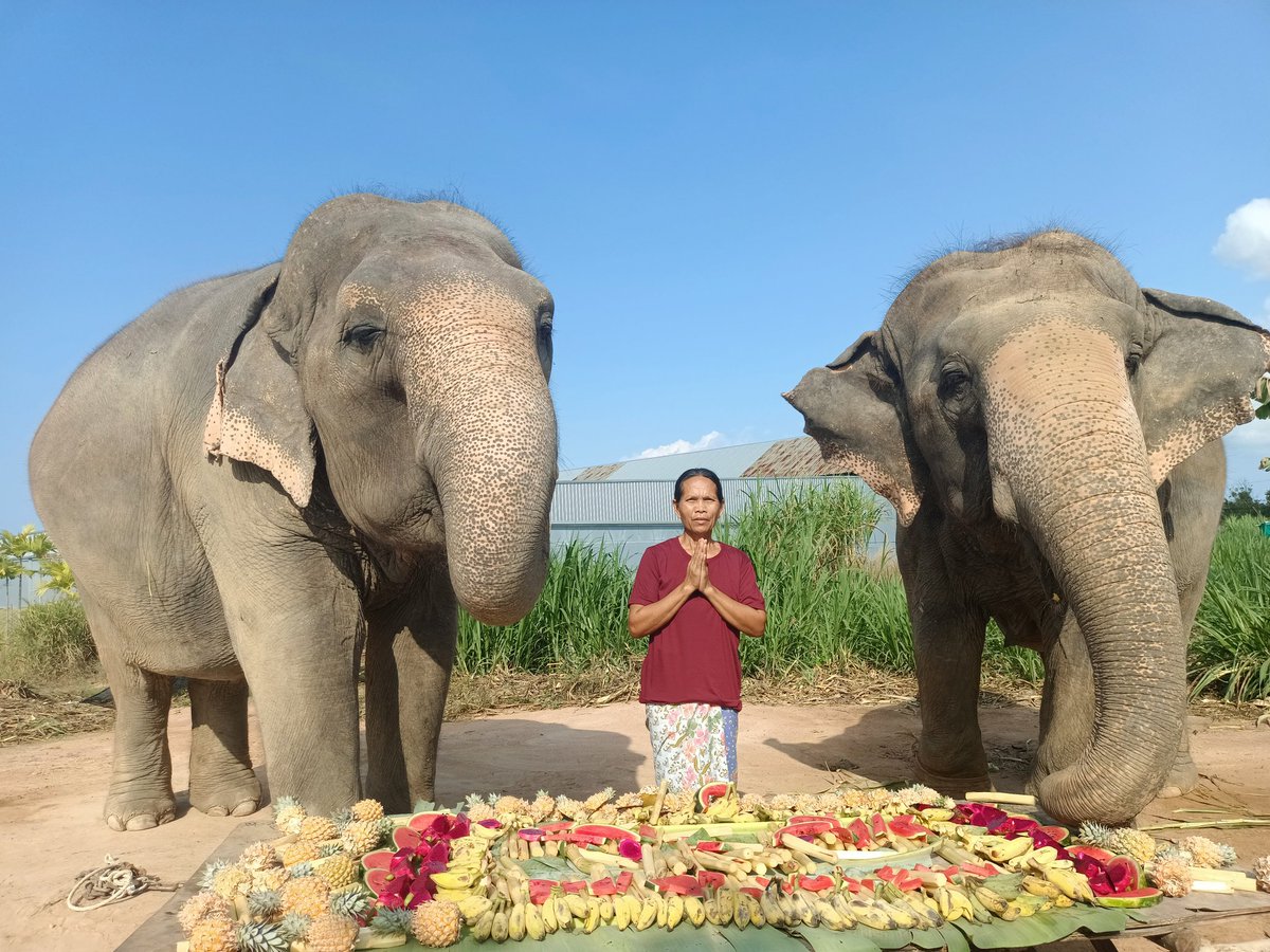 lily24446's tweet photo. 🙏ขอขอบพระคุณ  มิวกลัฟ♥️fc 
🎉ครบรอบ3ปี ขอให้ มิวกลัฟและแฟนคลับอยู่เย็นเป็นสุข มั่งคั่งร่ำรวย มีความสุขสมปรารถนา แฟนคลับเหนียวแน่นแบบนี้ตลอดไป🙏 #MewGulf 3rd Anniversary #ช่วยช้างตกงาน #วิกฤติช้างไทย #ป้อนอาหารช้างออนไลน์ https://t.co/xC6dn2bplW