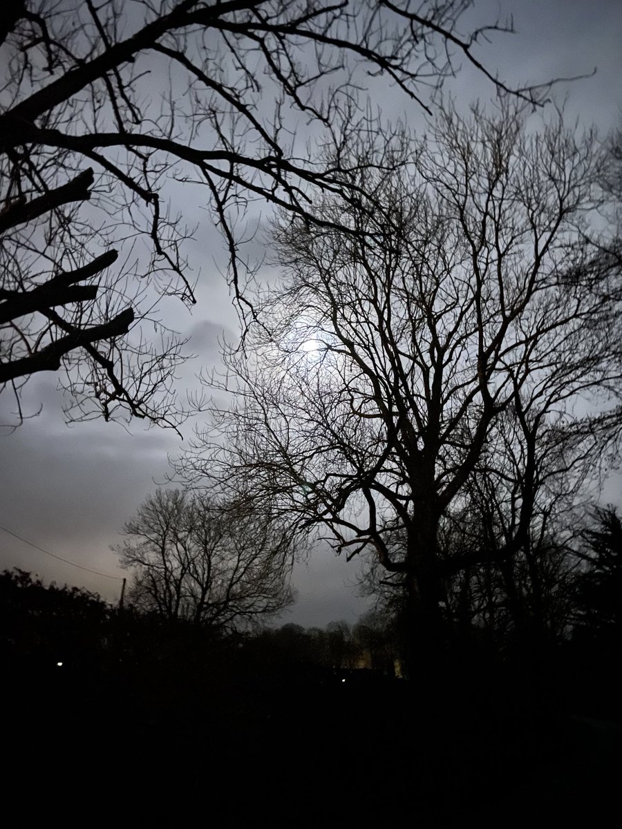 Norma Carr - Raising Vibrations tweet media