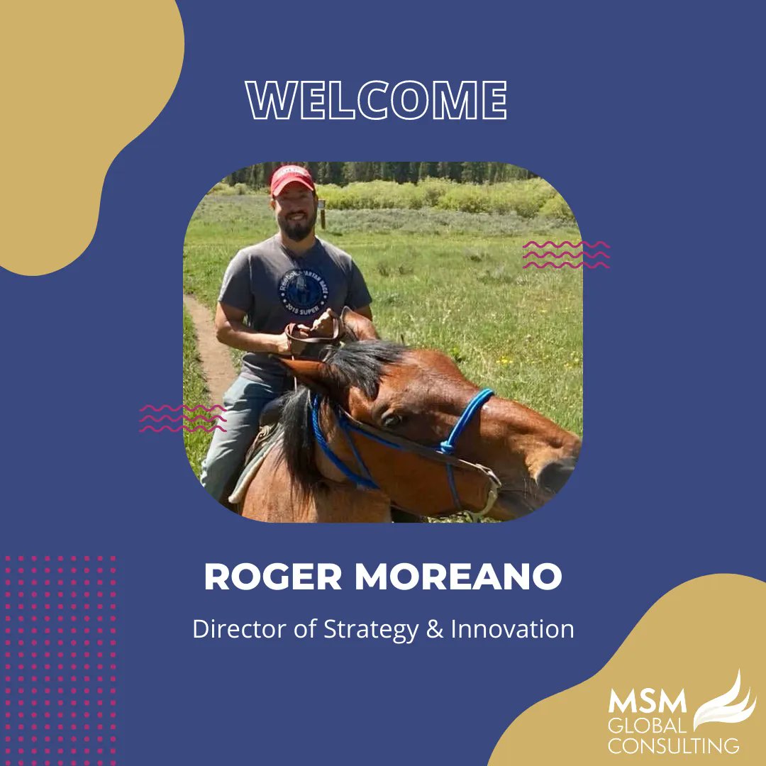 MSM Global Consulting tweet media