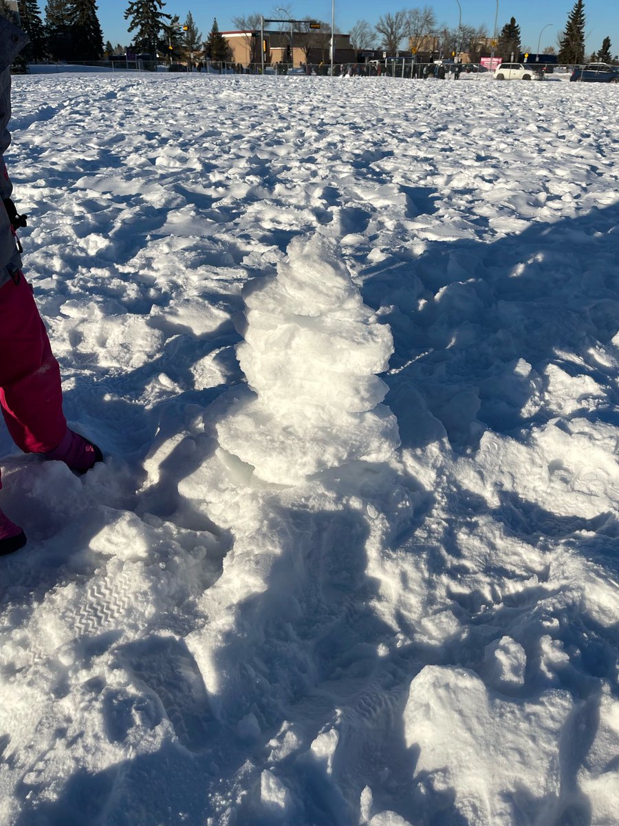 sonjawillier's tweet photo. Some of our grade 2 students @EcsdStaugustine made inukshuks in the snow after learning about them in social studies. What fun! #buildersandcreators #transferofknowledge #ecsd https://t.co/PwuFNPmXok