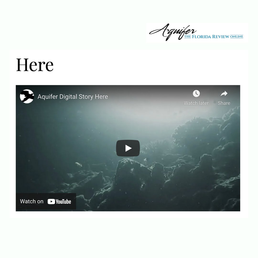 edward_gunawan's tweet photo. Thank you #Aquifer Florida Review Online for making a home for my video essay "Here" 🙏 
https://t.co/XmINaYLRXC https://t.co/kbuEaI4Xg3