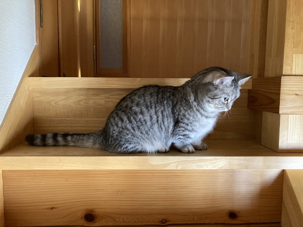 見える…全てが。