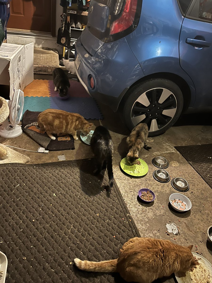 craig mehr tweet media