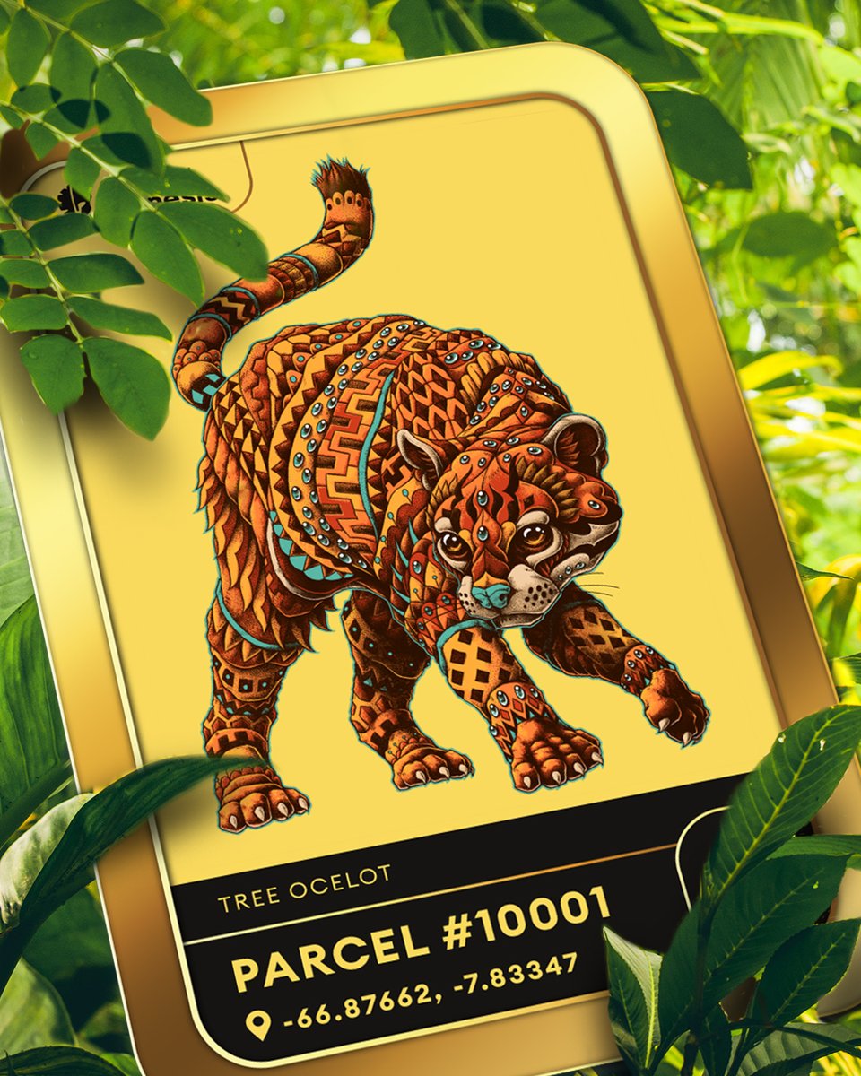 nemus_earth's tweet photo. Each #NFT features amazing artwork to honor the unique flora and fauna found in the rainforest.

#Legendary artwork brought to you by @BIOWORKZ https://t.co/b8uwTqpM1j