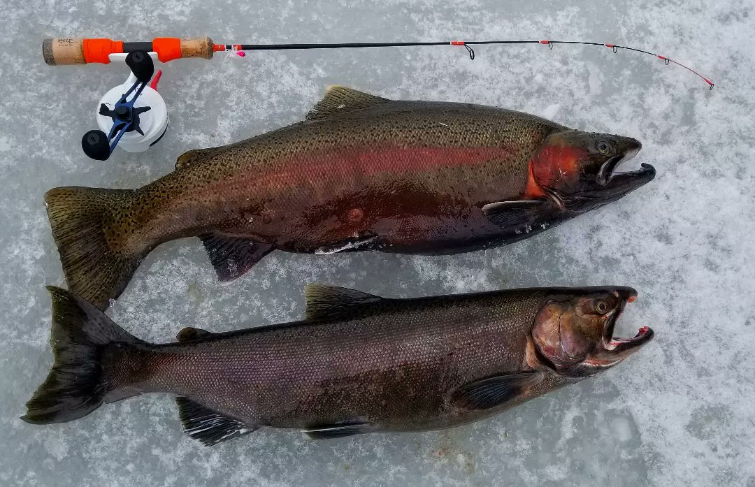 LToutdoors on X: Such a great day!!! Ice fishing is my jam🤘👊 RBM Jigs,  LLC / Lake Effect Lure Co. #LToutdoors #michiganoutdoors #michiganfishing  #fishing #steelhead #coho  / X