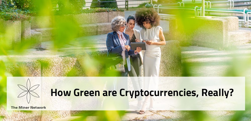 The Miner Network tweet media