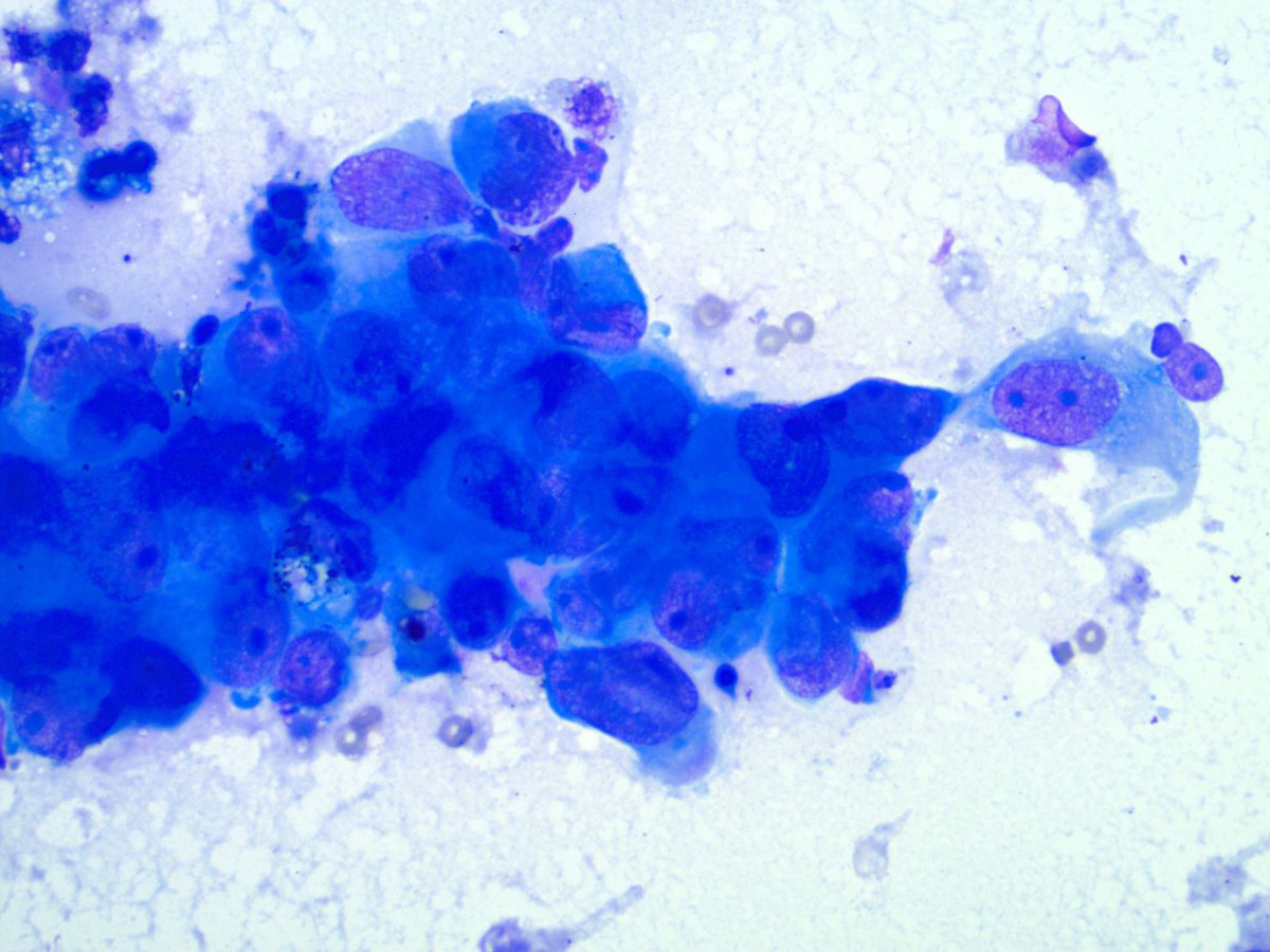 Sanjay Mukhopadhyay tweet media