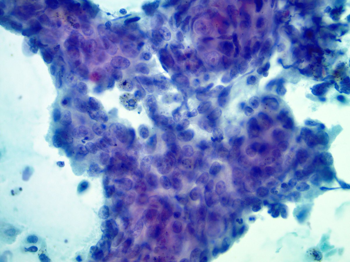 Sanjay Mukhopadhyay tweet media