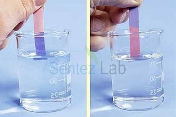 Turnosol kağıdı gibi Fenerbahçe ve Beşiktaş maçlarında renk değiştiren adama Caner Erkin denir.  

Volkan Demirel pesic ghezzal penaltı