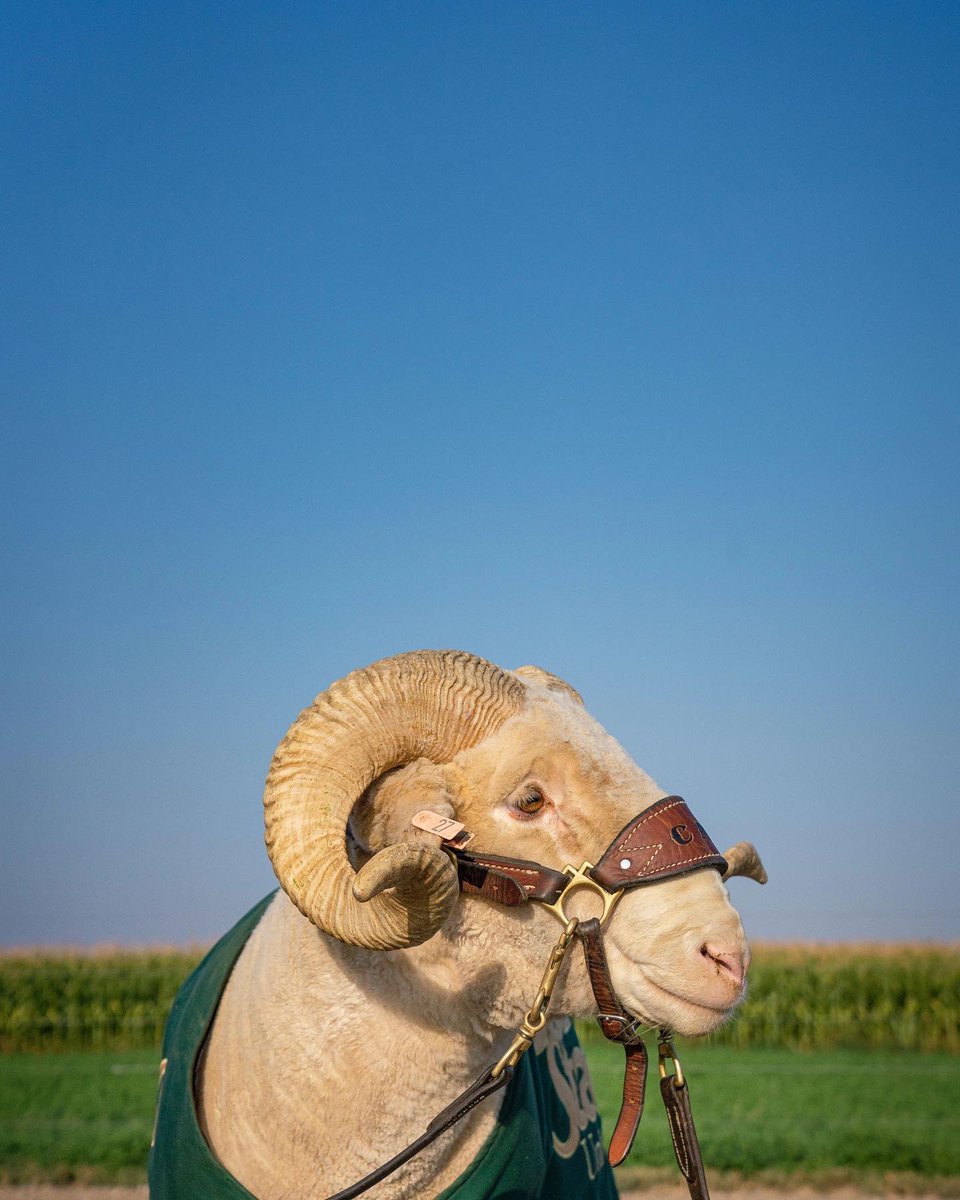 New semester = New profile pic 💚✨