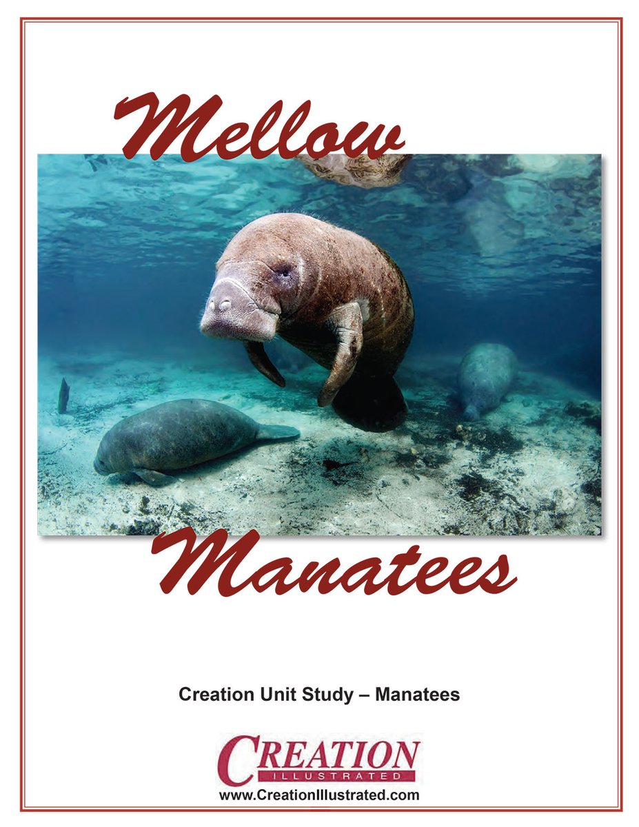 CreationMag tweet picture