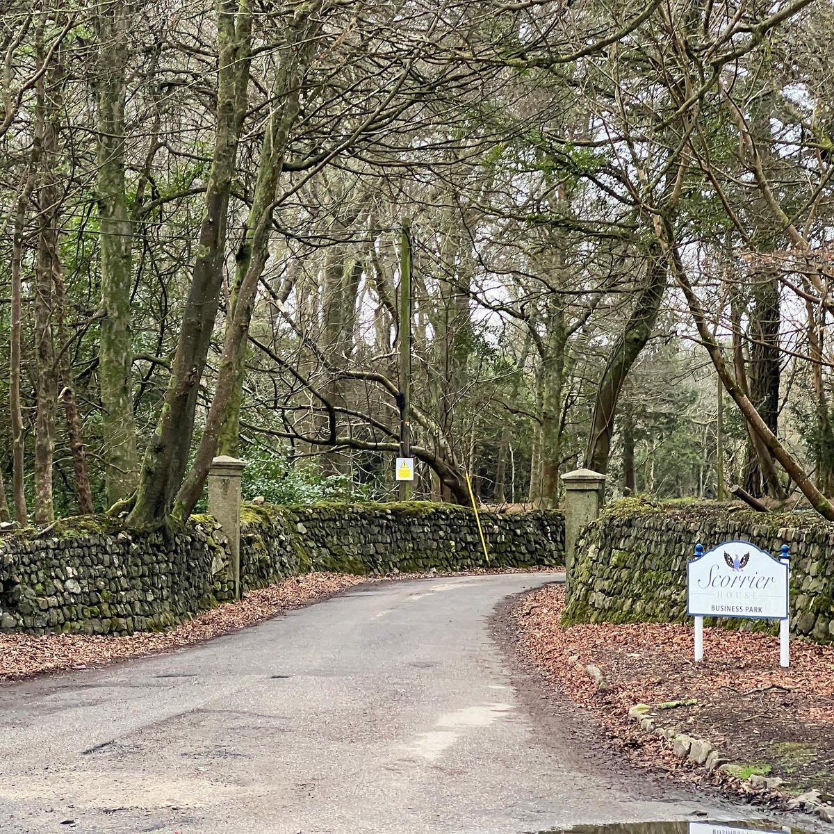 cornishinc's tweet photo. Back on the road, over rail and along tramways #running in aid of @ProstateUK. One #marathon distance down, here’s to the next! Please consider donating

£20 could pay for one hour of research, bringing us closer to beating prostate #cancer.

https://t.co/uAZHpi8PLr https://t.co/WGi6dPhO1Q
