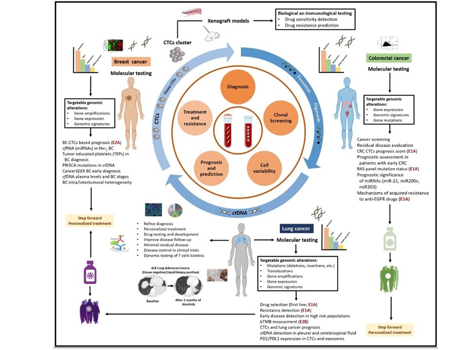 International Society of Liquid Biopsy (@isliquidbiopsy) on Twitter photo Challenges and opportunities of #cfDNA analysis implementation in clinical practice: Perspective of the <a href="/isliquidbiopsy/">International Society of Liquid Biopsy</a>. sciencedirect.com/science/articl…. <a href="/ChristianRolfo/">Christian Rolfo</a> <a href="/MJOSESERRANO19/">M JOSE SERRANO Lab (LB&Cancer Interception group)</a> <a href="/UmbertoMalapel1/">Umberto Malapelle</a> <a href="/drgandara/">David Gandara</a> <a href="/ElJanLe/">ELO</a> @MCristofanill Challenges and opportunities of #cfDNA analysis implementation in clinical practice: Perspective of the <a href="/isliquidbiopsy/">International Society of Liquid Biopsy</a>. sciencedirect.com/science/articl…. <a href="/ChristianRolfo/">Christian Rolfo</a> <a href="/MJOSESERRANO19/">M JOSE SERRANO Lab (LB&Cancer Interception group)</a> <a href="/UmbertoMalapel1/">Umberto Malapelle</a> <a href="/drgandara/">David Gandara</a> <a href="/ElJanLe/">ELO</a> @MCristofanill