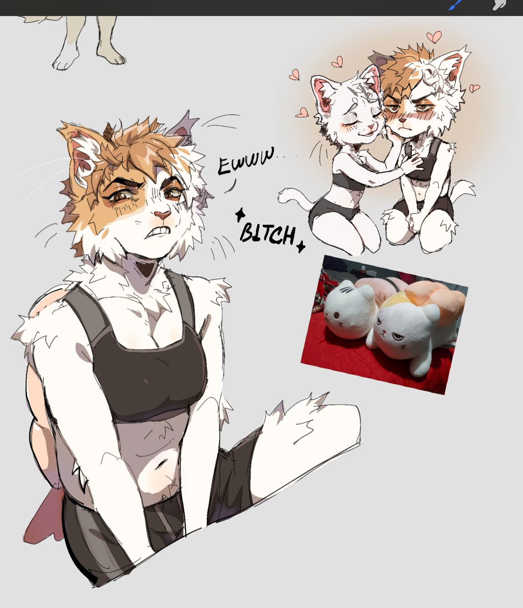 sei_kasu's tweet photo. So, my gf and i bought these sushi cats and,,,
My grumpy gurl
Theyre girlfriends,,,, https://t.co/idXo6SjN6C