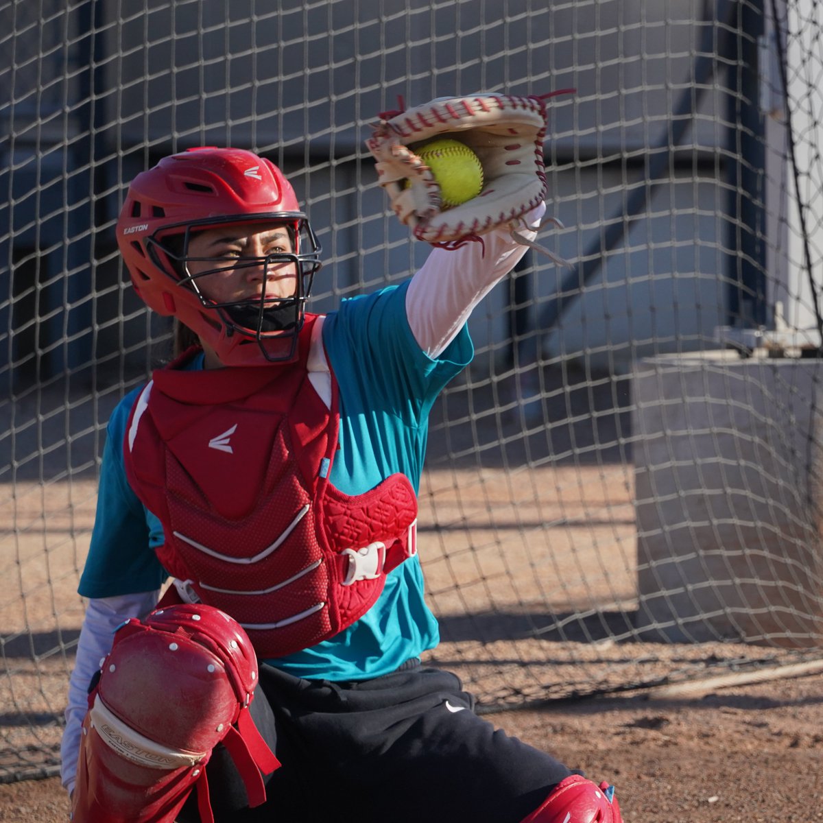 UNMLoboSB's tweet photo. Getting the battery ready.
#GoLobos https://t.co/ElHyL5vLob