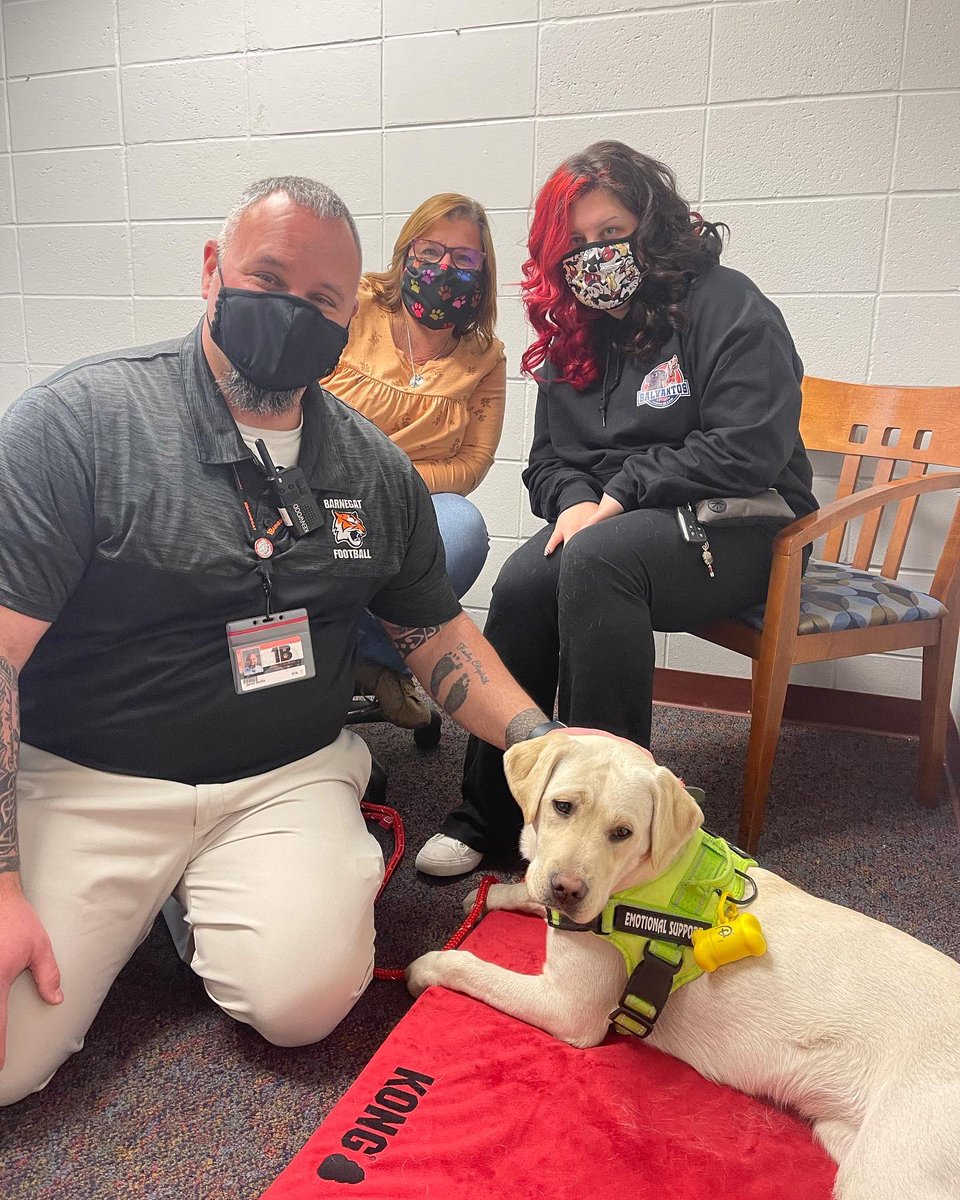 The Barnegat Township School District has expanded our therapy dog program to include Coconut, a yellow labrador retriever.