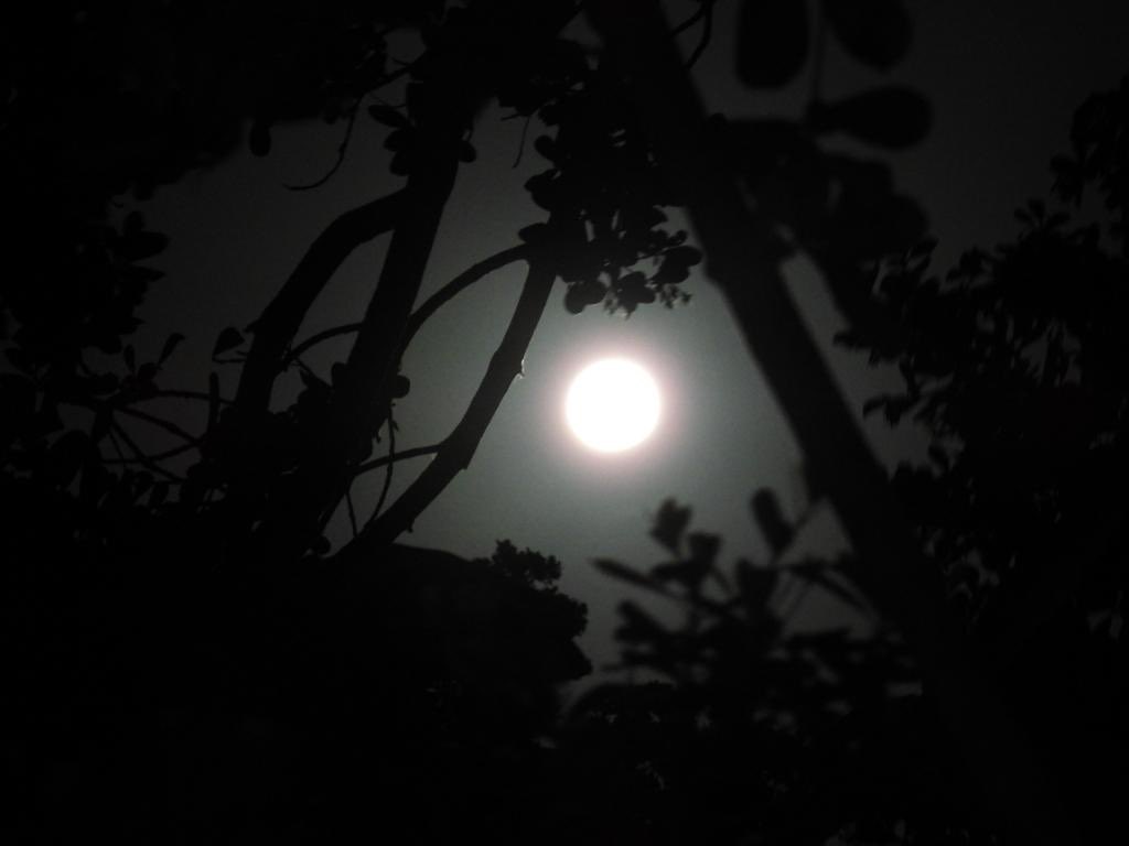 Wolf moon 🐺 🌕 photos taken in #Ballito    by <a href="/davidhfish/">David</a> 📸 <a href="/nccourier/">North Coast Courier</a>