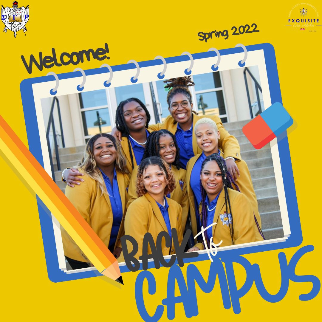 Exquisite HA Poodles tweet media